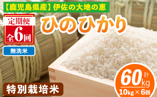 isa517-B 【定期便6回】 ＜無洗米＞令和7年産 鹿児島県伊佐産 特別栽培ひのひかり(計60kg・10kg×6ヵ月) 国産 白米 精米 無洗米 伊佐米 お米 米 生産者 ひのひかり 定期便 【Farm-K】