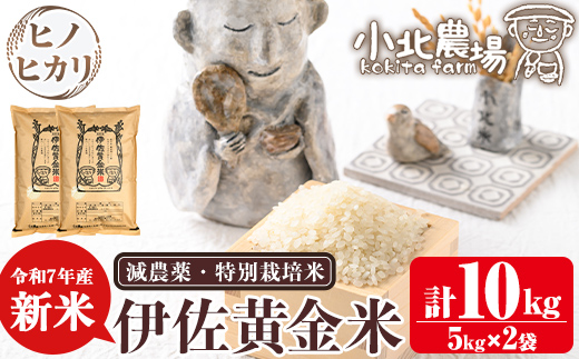 isa600 ＜先行予約受付中！2025年10月より順次発送＞《数量限定》令和7年産 小北農場の新米 伊佐黄金米〈ヒノヒカリ〉(10kg) 鹿児島 伊佐 新米 お米 特別栽培米 伊佐米 白米 ヒノヒカリ ひのひかり おにぎり ごはん 【小北農場】