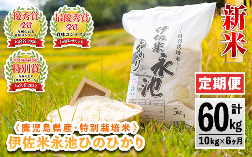 H4-01 【定期便】令和6年産 新米 特別栽培米 伊佐米永池ひのひかり(計60kg・10kg×6ヶ月) ふるさと納税 伊佐市 特産品 鹿児島 永池 お米 米 白米 精米 伊佐米 九州米サミット 食味コンテスト 最優秀賞受賞 ヒノヒカリ 定期便【エコファーム永池】