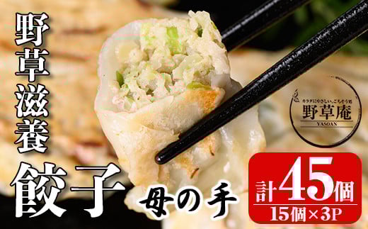 isa426 野草滋養餃子「母の手」(計45個・15個×3P) ふるさと納税 伊佐市 特産品 ギョーザ ぎょうざ 鹿児島 手作り ギョウザ 豚肉 冷凍食品 おかず おつまみ 惣菜 小分け 焼くだけ 簡単調理 冷凍便【やさしいまち】