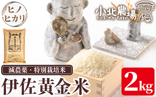 isa953 《数量限定》令和7年産 小北農場のお米 伊佐黄金米〈ヒノヒカリ〉(2kg) 鹿児島 伊佐 お米 特別栽培米 伊佐米 白米 ヒノヒカリ ひのひかり おにぎり ごはん 【小北農場】