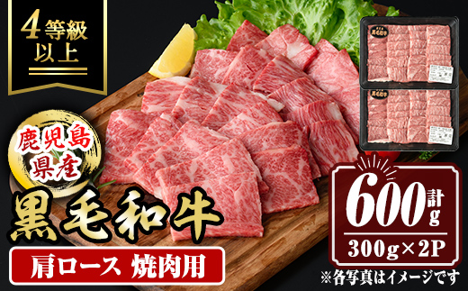 isa881 鹿児島県産黒毛和牛 肩ロース焼肉用(計600g・300g×2P) 4等級以上！ 国産 牛肉 霜降り 国産 牛肉 霜降り 家庭用 冷凍 【サンキョーミート】