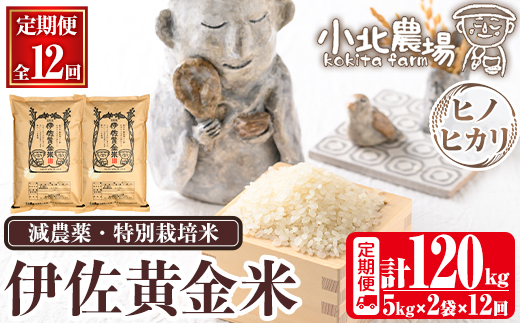 isa793 《数量限定・12回定期便》令和7年産 小北農場のお米 伊佐黄金米〈ヒノヒカリ〉(計120kg・5kg×2袋×12回) 鹿児島 伊佐 お米 120kg 定期便 12回 特別栽培米 伊佐米 白米 ヒノヒカリ ひのひかり おにぎり ごはん 【小北農場】