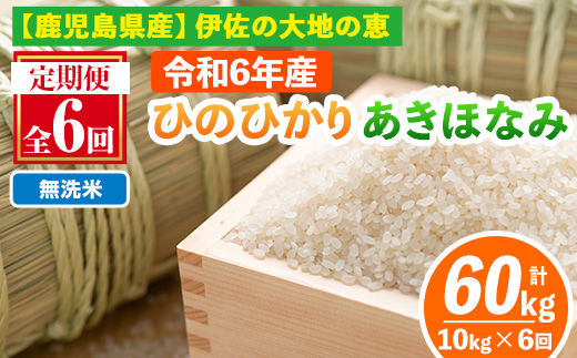 isa518-B 【定期便6回】 ＜無洗米＞令和6年産 鹿児島県伊佐南浦産 ひのひかり5kg・あきほなみ5kg (合計60kg・計10kg×6ヵ月) 国産 白米 精米 無洗米 伊佐米 お米 米 生産者 ひのひかりあきほなみ 定期便【Farm-K】