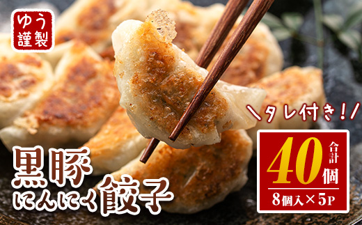 Z6-01 ＜2025年12月発送分(12月中に発送)＞黒豚にんにく餃子(計40個・8個入り×5P) 伊佐市 特産品 鹿児島 生餃子 ギョウザ 黒豚 豚肉 冷凍食品 おかず おつまみ 惣菜 小分け 焼くだけ 簡単調理 冷凍便 【工房ゆう】