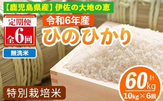 isa517-B 【定期便6回】 ＜無洗米＞令和6年産 鹿児島県伊佐産 特別栽培ひのひかり(計60kg・10kg×6ヵ月) 国産 白米 精米 無洗米 伊佐米 お米 米 生産者 ひのひかり 定期便 新米【Farm-K】