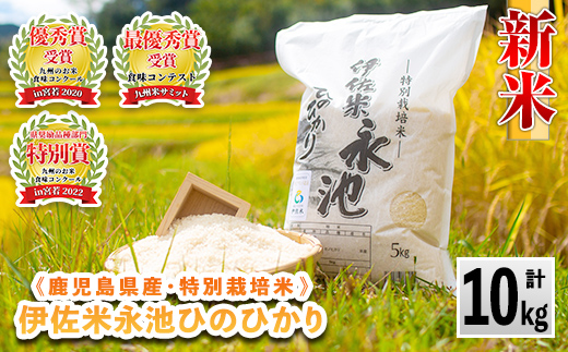 A4-06 令和6年産 新米 特別栽培米 永池ひのひかり(計10kg・5kg×2袋) ふるさと納税 伊佐市 特産品 鹿児島 永池 お米 米 白米 精米 伊佐米 九州米サミット 食味コンテスト 最優秀賞受賞 ヒノヒカリ【エコファーム永池】