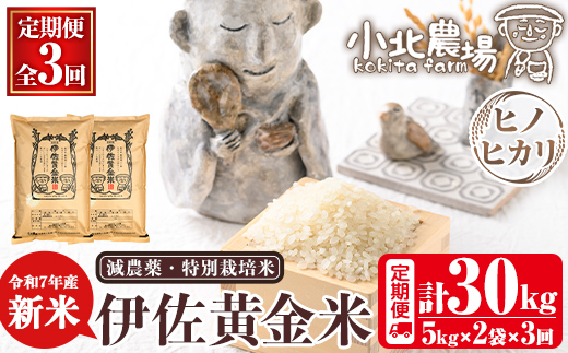 isa791 《数量限定・3回定期便》令和7年産 小北農場の新米 伊佐黄金米〈ヒノヒカリ〉(計30kg・5kg×2袋×3回) 鹿児島 伊佐 新米 お米 30kg 定期便 3回 特別栽培米 伊佐米 白米 ヒノヒカリ ひのひかり おにぎり ごはん 【小北農場】