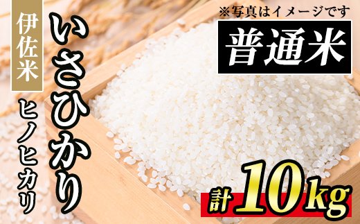 A7-03 いさひかり(5kg×2袋・計10kg) ふるさと納税 伊佐市 特産品  お米 米 白米 精米 伊佐米 ご飯 ヒノヒカリ【JA北さつま】