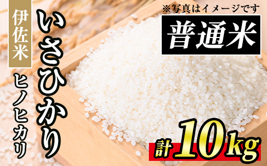 A7-03 いさひかり(5kg×2袋・計10kg) ふるさと納税 伊佐市 特産品  お米 米 白米 精米 伊佐米 ご飯 ヒノヒカリ【JA北さつま】