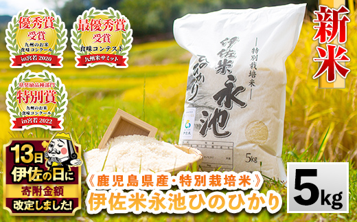 Z7-01 【伊佐の日・寄附額改定】《数量限定》令和7年産 新米 特別栽培米 伊佐米永池ひのひかり(5kg) 伊佐市 永池 特産品 伊佐米 九州米サミット 食味コンテスト 最優秀賞受賞 ヒノヒカリ 5kg 【エコファーム永池】