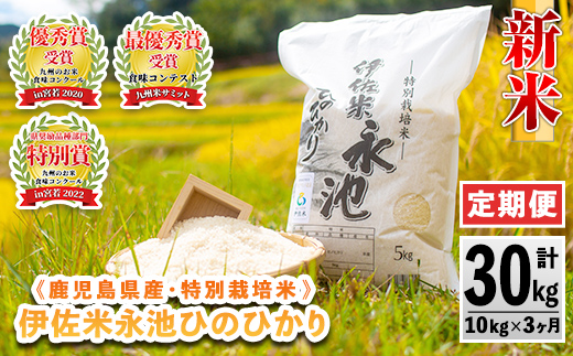 isa541 【定期便】令和6年産 新米 特別栽培米 伊佐米永池ひのひかり(計30kg・10kg×3ヶ月) 鹿児島 伊佐市 永池 お米 米 白米 精米 伊佐米 食味コンテスト 最優秀賞受賞 ヒノヒカリ【エコファーム永池】