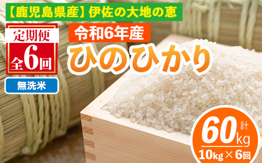 isa520-B 【定期便6回】 ＜無洗米＞令和6年産 鹿児島県伊佐南浦産ひのひかり (合計60kg・計10kg×6ヵ月) 国産 白米 精米 無洗米 伊佐米 お米 米 生産者 定期便 ひのひかり 新米【Farm-K】