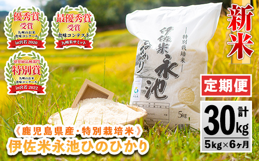 D2-04 【定期便】令和6年産 新米  特別栽培米 伊佐米永池ひのひかり(計30kg・5kg×6ヶ月) ふるさと納税 伊佐市 特産品 鹿児島 永池 お米 米 白米 精米 伊佐米 九州米サミット 食味コンテスト 最優秀賞受賞 ヒノヒカリ 定期便【エコファーム永池】