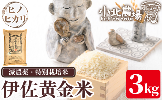 isa954 《数量限定》令和7年産 小北農場のお米 伊佐黄金米〈ヒノヒカリ〉(3kg) 鹿児島 伊佐 お米 特別栽培米 伊佐米 白米 ヒノヒカリ ひのひかり おにぎり ごはん 【小北農場】