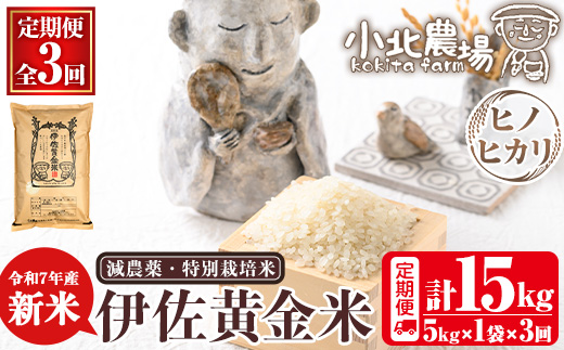 isa601 《数量限定・3回定期便》令和7年産 小北農場の新米 伊佐黄金米〈ヒノヒカリ〉(計15kg・5kg×1袋×3回) 鹿児島 伊佐 新米 お米 特別栽培米 伊佐米 白米 ヒノヒカリ ひのひかり おにぎり ごはん 【小北農場】