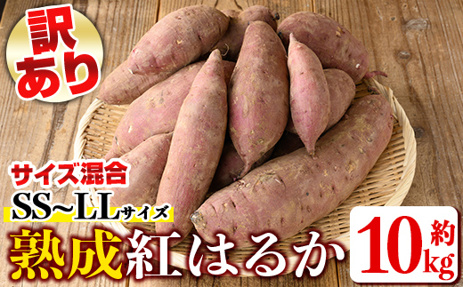 isa877 《訳あり》熟成紅はるか(約10kg・SS～LLサイズ混合) 訳あり さつまいも 紅はるか 鹿児島 生芋 完熟 長期熟成 土付き べにはるか サツマイモ 焼き芋に 【いさ工房】
