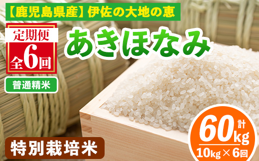 isa616-A 【定期便6回】 ＜普通精米＞令和7年産 鹿児島県伊佐産 特別栽培あきほなみ(計60kg・10kg×6ヵ月) 国産 白米 精米 伊佐米 お米 米 生産者 定期便 あきほなみ アキホナミ  特別栽培米【Farm-K】
