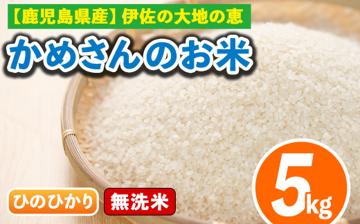 isa278 《数量限定》かめさんのお米(5kg・ひのひかり・無洗米) ふるさと納税 伊佐市 特産品 国産 白米 精米  無洗米 伊佐米 お米 米 生産者 ヒノヒカリ 5kg 【Farm-K】
