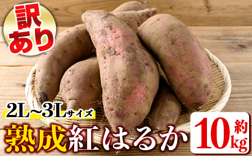 isa875 《訳あり》熟成紅はるか(約10kg・2L～3Lサイズ混合) 訳あり さつまいも 紅はるか 鹿児島 生芋 完熟 長期熟成 土付き べにはるか サツマイモ 焼き芋に 【いさ工房】