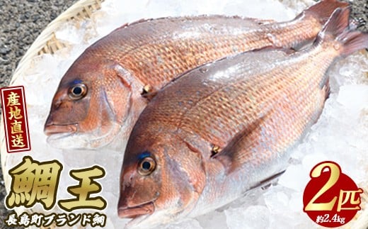 長島町特産「鯛王」(2匹・約2.4kg) 産地直送 新鮮 旨味が抜群の 長島町 特産品 ブランド 真鯛 をまるごと 一匹 楽しめる 刺身 鯛めし 鯛茶漬け 鯛しゃぶ 鯛刺身 鮮魚 冷蔵 【JFA】jfa-7144