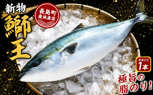【14日前後で発送中】 テレビで紹介ぶりの王様 新物「 鰤王 」 まるごと 1本 （約3.0kg～） ラウンド 先行予約 産地直送 長島町 特産品 ブランド 鰤 冷蔵 ふるさと納税 ぶり 刺身 ぶりしゃぶ ぶり大根 海鮮丼【JFA】jfa-7114R8