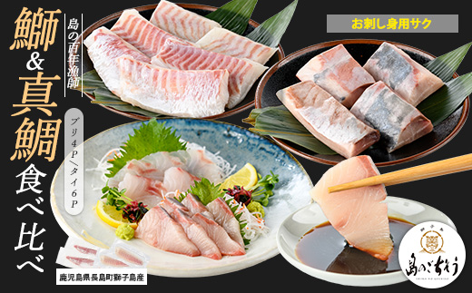 獅子島産 百年漁師の鰤 (約150g×4P) と真鯛 (約100g×6P) お刺身用サク食べ比べ【島のごちそう】gochi-7059R8