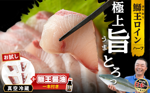 【冷蔵】ぶりの王様「 鰤王 」お試しスキンレスロインハーフ 4P入り【鰤王しょう油付】 ぶり ブリ 鰤 ぶりしゃぶ たたき 産地直送 新鮮 旨味が抜群の 長島町 特産品【JFA】jfa-1680A