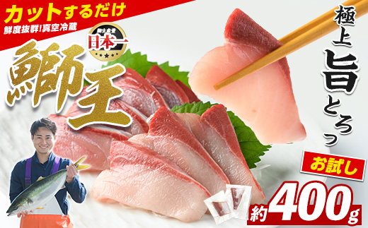 【数量限定】 ぶりの王様「 鰤王 」 スキンレスポーション 2P入り 冷蔵 でお届け ぶり ブリ 鰤 ぶりしゃぶ たたき 産地直送 新鮮 旨味が抜群の 長島町 特産品【JFA】jfa-1599R8