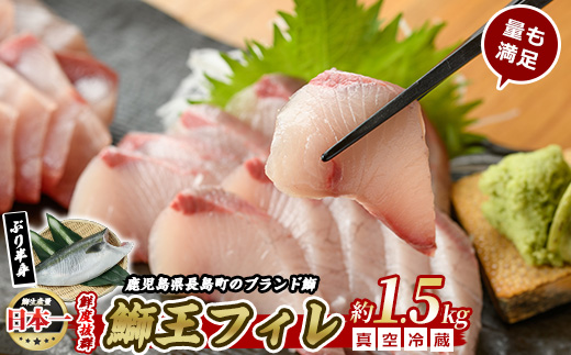 ぶりの王様「 鰤王 」 フィレ (約1.5kg・フィレ1枚)   産地直送 新鮮 旨味が抜群の 長島町 特産品 ブランド ぶり 鰤 ブリ 冷蔵 刺身 ぶりしゃぶ しゃぶしゃぶ 【JFA】jfa-1219