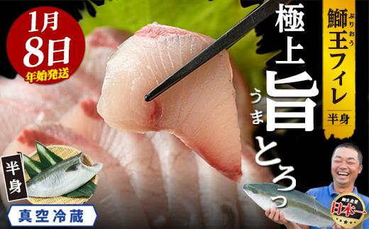 ＼年始発送 先行予約／＜数量限定＞【2027年1月8日発送】『旅サラダ』で紹介ぶりの王様「 鰤王 」 フィレ 半身 (約1.2〜1.5kg・フィレ1枚) 産地直送 新鮮 旨味が抜群の 長島町 特産品 ブランド ぶり 鰤 ブリ 切り身 真空 冷蔵 刺身 ぶりしゃぶ しゃぶしゃぶ 魚 魚介 人気 ランキング 年末年始発送 【JFA】jfa-7006-08