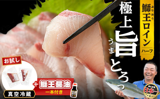 【冷蔵】ぶりの王様「 鰤王 」お試しスキンレスロインハーフ 2P入り【鰤王しょう油付】 ぶり ブリ 鰤 ぶりしゃぶ たたき 産地直送 新鮮 旨味が抜群の 長島町 特産品【JFA】jfa-1679A