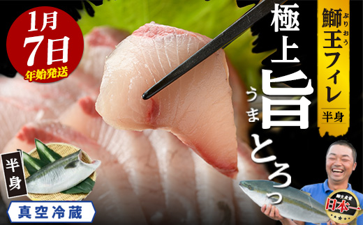 ＼年始発送 先行予約／＜数量限定＞【2027年1月7日発送】『旅サラダ』で紹介ぶりの王様「 鰤王 」 フィレ 半身 (約1.2〜1.5kg・フィレ1枚) 産地直送 新鮮 旨味が抜群の 長島町 特産品 ブランド ぶり 鰤 ブリ 切り身 真空 冷蔵 刺身 ぶりしゃぶ しゃぶしゃぶ 魚 魚介 人気 ランキング 年末年始発送 【JFA】jfa-7006-07