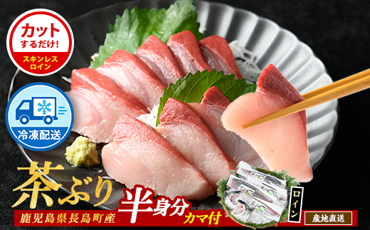 【冷凍】ブリカマ付！茶ぶり スキンレスロイン(片身分・2分の1カット済) 鮮魚 下処理済み ぶり 柵 刺身 ブリ 切り身 鰤 ぶりかま 【ウスイ】 usui-7319R8B