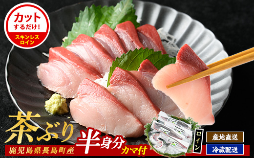ブリカマ付！茶ぶり スキンレスロイン(片身分・2分の1カット済) 鮮魚 下処理済み ぶり 柵 刺身 ブリ 切り身 鰤 ぶりかま 【ウスイ】usui-1033R7