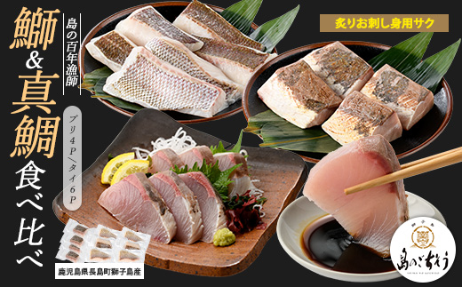獅子島産 百年漁師の鰤 (約150g×4P) と真鯛 (約100g×6P) 炙り刺身サク食べ比べ【島のごちそう】gochi-7060R8