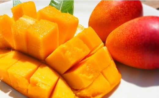 No.3042-5 訳あり完熟マンゴー（Lサイズ以上：5個～７個）