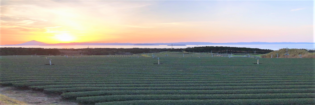 鹿児島県 錦江町