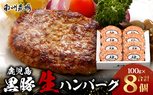 [冷凍 ]鹿児島県産 黒豚生ハンバーグセット（8個入）NS-12 ❘ 肉 お肉 豚肉 豚 にく ぶた かごしま黒豚 ハンバーグ おかず ジューシー 小分け ギフト おかず お弁当 国産 鹿児島県 南大隅町 南州農場