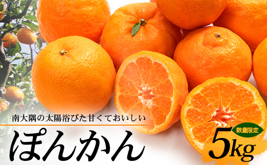 【先行予約・数量限定】南大隅の太陽浴びた甘くて・おいしい ぽんかん 5kg【2026年1月中旬以降順次発送】｜ぽんかん ポンカン 柑橘 甘い 果物 新鮮 産地 直送 先行予約 おすすめ 人気 南大隅町(ID-1)
