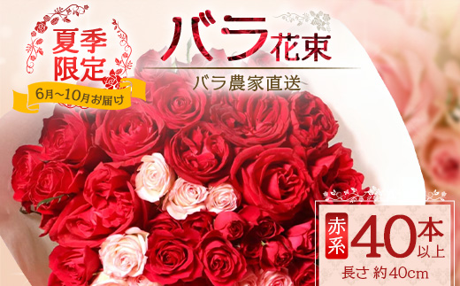 【日付指定必須・ギフト対応可】 夏季限定 ばら農家直送！バラ花束40本以上お届け(赤系) TB-5│ローズ 新鮮 花 フラワー 花束 ばら 薔薇 バラ 誕生日 記念日 結婚祝い ギフト プレゼント お祝い 贈り物 贈答 鹿児島県 南大隅町 富田バラ園