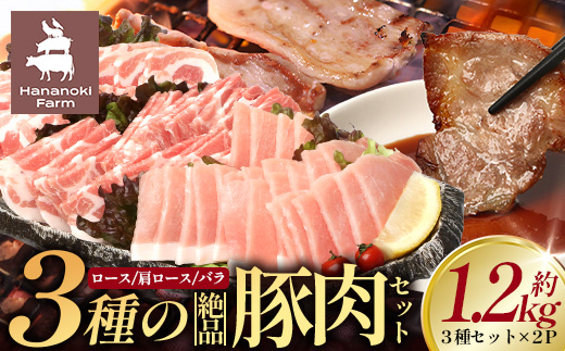 ３種の絶品豚肉セット（ロース・肩ロース・豚バラ）約1,200g HK-29│ 豚 ぶた 肉 焼肉 食べ比べ 厳選 部位別 焼肉屋さん ギフト セット BBQ バーベキュー お弁当 国産 ノウフク 農福連携 鹿児島県 南大隅町 第2花の木ファーム