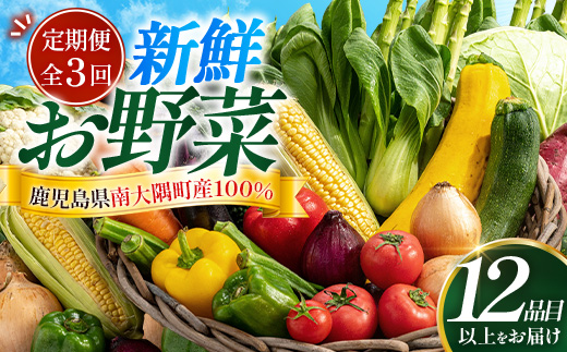 【定期便全3回】よくばり新鮮お野菜セット 12品目以上 NI-7 ｜ 旬 野菜 やさい 果物 くだもの 産地直送 農産物 冷蔵 鹿児島県 南大隅町産 詰合せ おまかせ 家庭用 なんたん市場