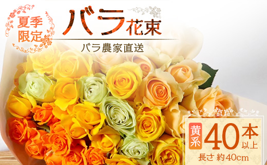 【先行予約・夏季限定 薔薇】ばら農家直送！バラ花束40本以上お届け(黄系) 【ギフト対応可】│ローズ 新鮮 花 フラワー 花束 ばら 薔薇 バラ 誕生日 記念日 結婚祝い ギフト プレゼント お祝い 贈り物 贈答 鹿児島県 南大隅町 富田バラ園 TB-7