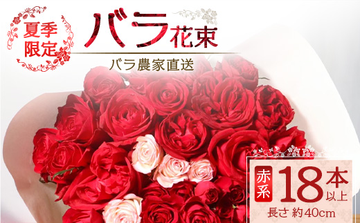 【先行予約・夏季限定 薔薇】ばら農家直送！バラ花束18本以上お届け(赤系) 【ギフト対応可】│ローズ 新鮮 花 フラワー 花束 ばら 薔薇 バラ 誕生日 記念日 結婚祝い ギフト プレゼント お祝い 贈り物 贈答 鹿児島県 南大隅町 富田バラ園 TB-1