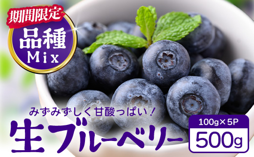 【期間限定】南大隅産 (生)ブルーベリー 品種ミックス詰め合わせ ≪100g×5P≫ BO-1 ｜ 鹿児島県 南大隅町 旬 産地直送 果物 ブルーベリー フルーツ くだもの 新鮮 農園 冷蔵 本土最南端