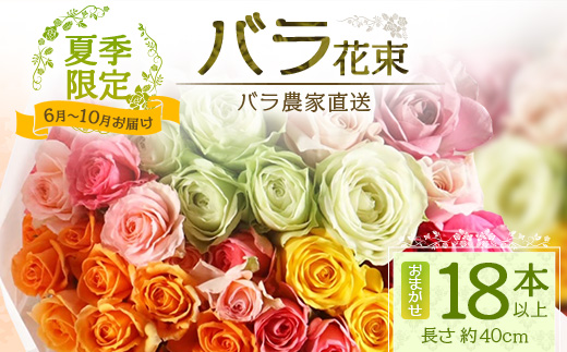 【日付指定必須・ギフト対応可】 夏季限定 ばら農家直送！バラ花束18本以上お届け(色はおまかせ) TB-4│ローズ 新鮮 花 フラワー 花束 ばら 薔薇 バラ 誕生日 記念日 結婚祝い ギフト プレゼント お祝い 贈り物 贈答 鹿児島県 南大隅町 富田バラ園