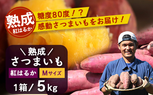 【先行予約：11月下旬配送～】熟成 さつまいも 紅はるか 5kg Mサイズ (おすそ分け袋／美味しい焼き芋の焼き方 説明書付き） FR-214 ｜ 秋の味覚 2026年秋収穫 貯蔵 長期熟成 糖化 さつまいも サツマイモ 感動サツマイモ 焼き芋 べにはるか 使いやすい 野菜 ねっとり 濃厚 おやつ おかず お弁当 煮物 芋ごはん 味噌汁 産地直送 鹿児島県 南大隅町 株式会社フォレスト