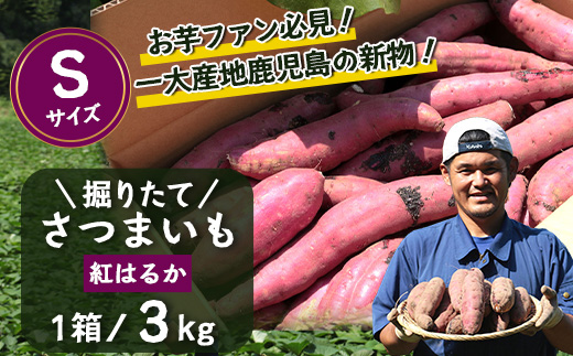 先行予約【2025年9月下旬より順次発送】さつまいも 紅はるか 堀りたて 3kg ( 1箱 ) Sサイズ 新物 鹿児島県産