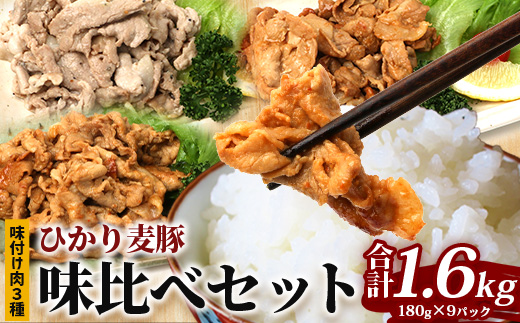 鹿児島県産 ひかり麦豚 味比べセット ≪味付け肉≫約1.6kg (約180g×9パック)みそ 塩だれ ニンニク醤油  トレーなし 冷凍 HM-4| 肉 お肉 にく 豚肉 味噌味 塩ダレ にんにく醤油 冷凍 解凍して焼くだけ 真空冷凍 産地直送 新鮮 小分け おかず 甘み 産地直送 鹿児島県 南大隅町 ひかり麦豚直売所